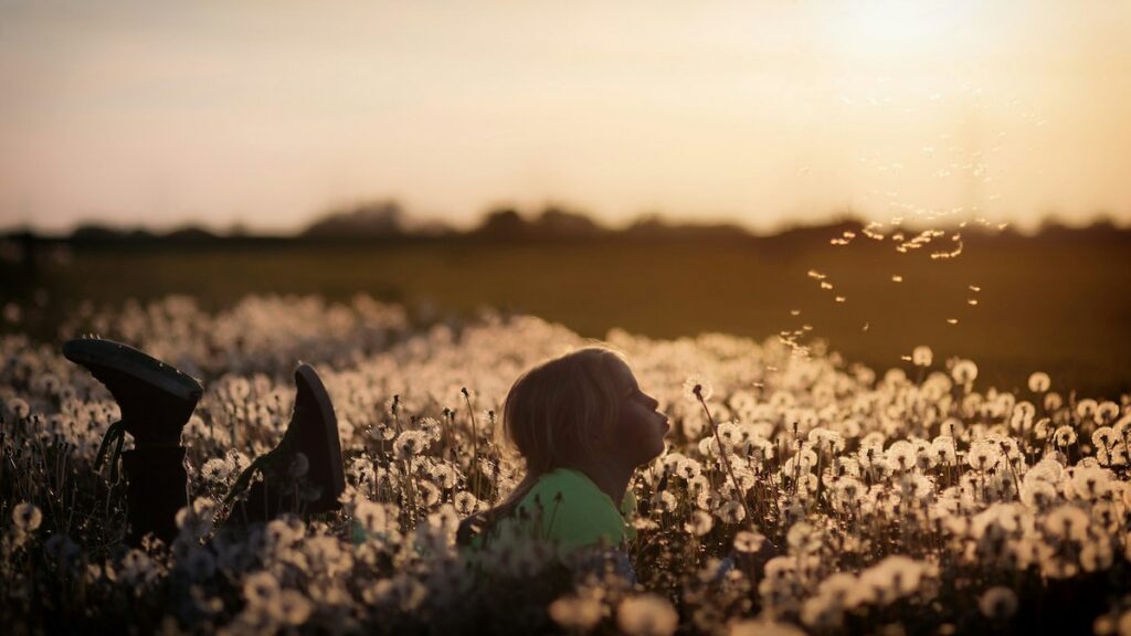 Portrætfoto af pige der ligger i en blomstermark med smukt sollys