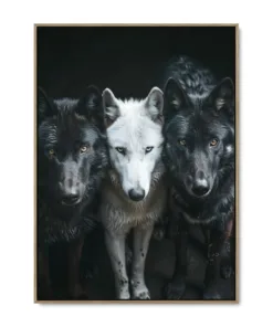 Galleri lærredsprint Loyal Pack EGE svæveramme