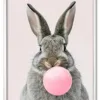 Bubble Bunny Hvid