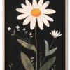Daisy on Black Eg