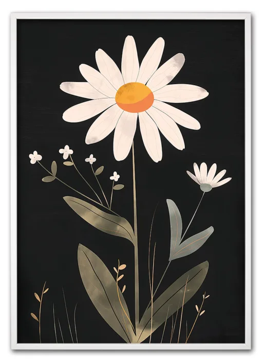 Daisy on Black Hvid