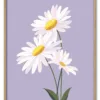 Daisy on Lilac Massiv Eg