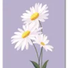 Daisy on Lilac Plakat