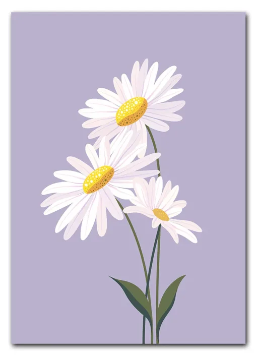 Daisy on Lilac Plakat