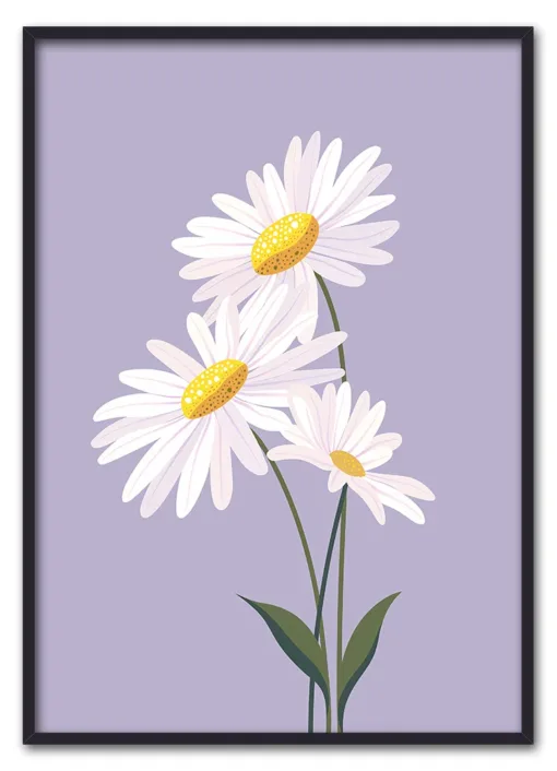 Daisy on Lilac Sort