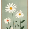 Field of Daisies Massiv Eg