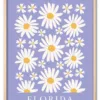 Flower Market Florida Eg