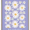 Flower Market Florida Massiv Eg
