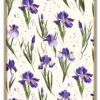 Iris Rythm Massiv Eg