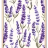 Lavender Rythm Eg