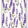 Lavender Rythm Hvid