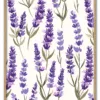 Lavender Rythm Massiv Eg