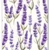 Lavender Rythm Plakat