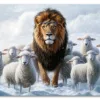 Lion Among Sheep Plakat