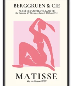 Matisse Cut Outs No. 06 (Pink Nude) Sort