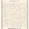 Matisse Flowers & Plants No. 02 Eg