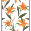 Tiger Lily Display Massiv Eg