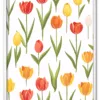 Tulip Composition Hvid