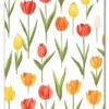 Tulip Composition Plakat
