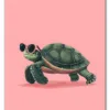 Turtle on Pink Plakat