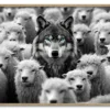 Wolf in the Crowd Massiv Eg