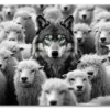 Wolf in the Crowd Plakat